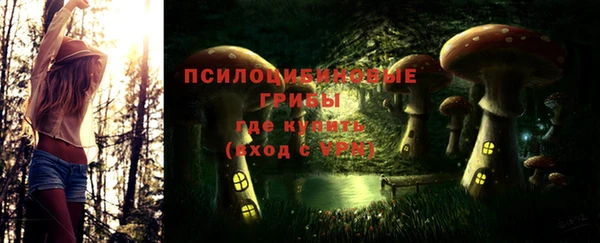 прущая мука Армянск