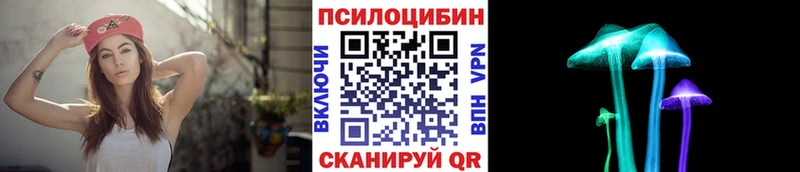 купить наркотик  Опочка  Псилоцибиновые грибы прущие грибы 