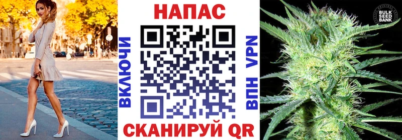 Бошки марихуана ГИДРОПОН Опочка